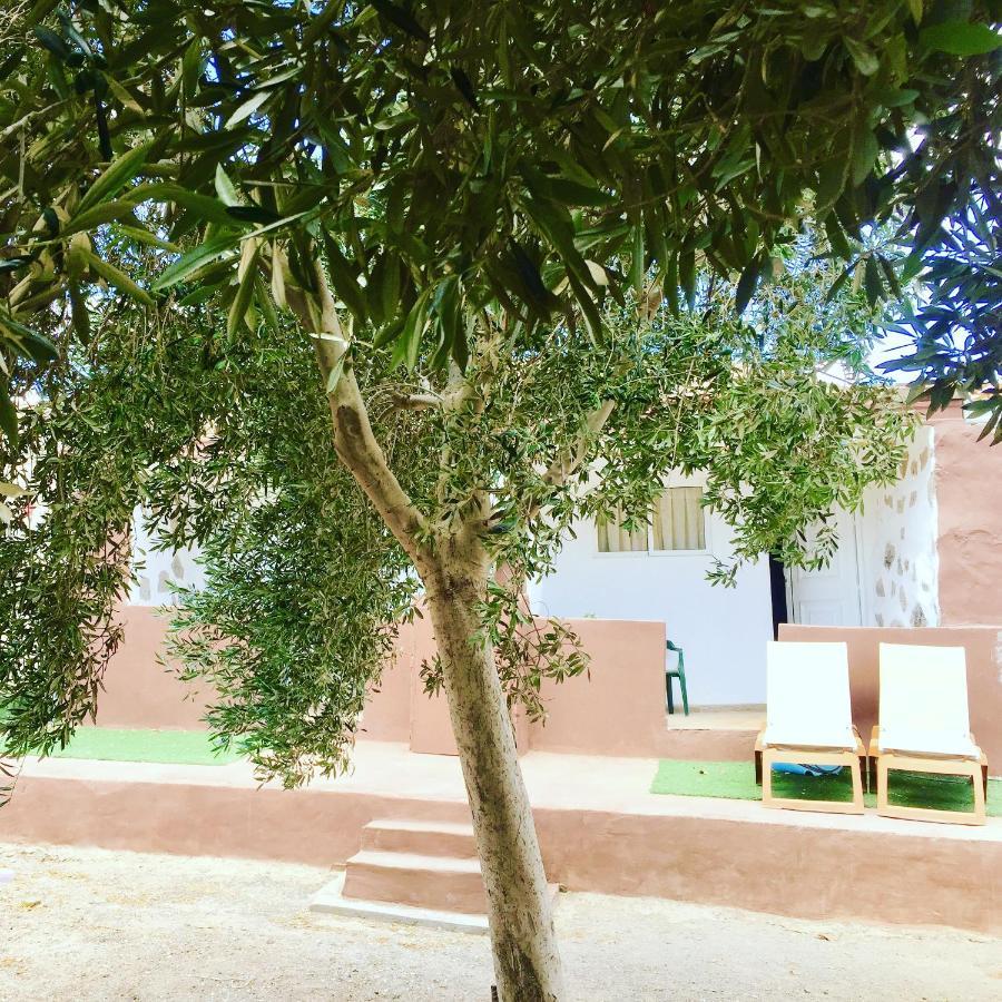 Olive Bungalow Gran Tarajal Exterior photo